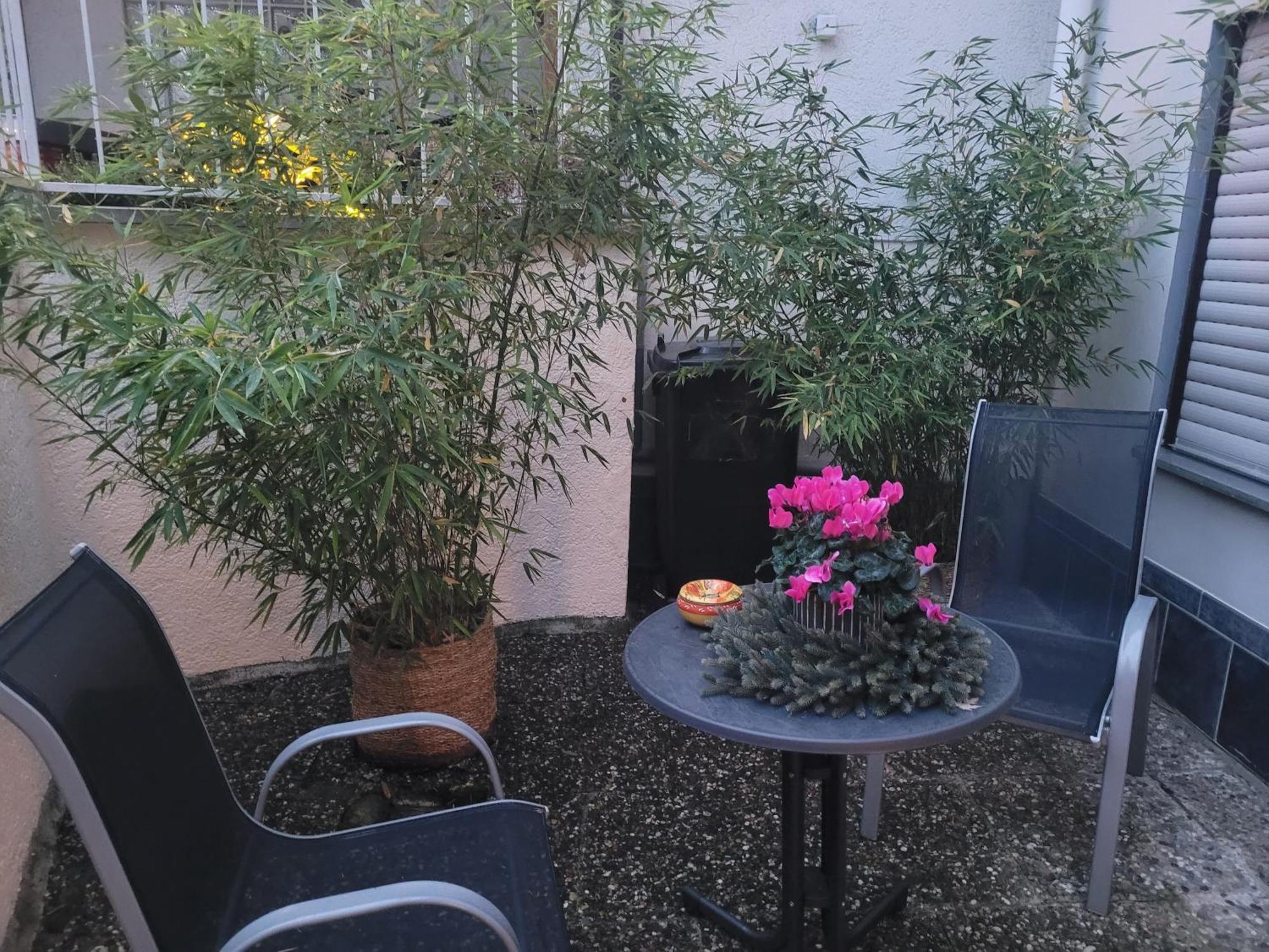 Ferienwohnung Riesling Bobenheim am Berg Luaran gambar
